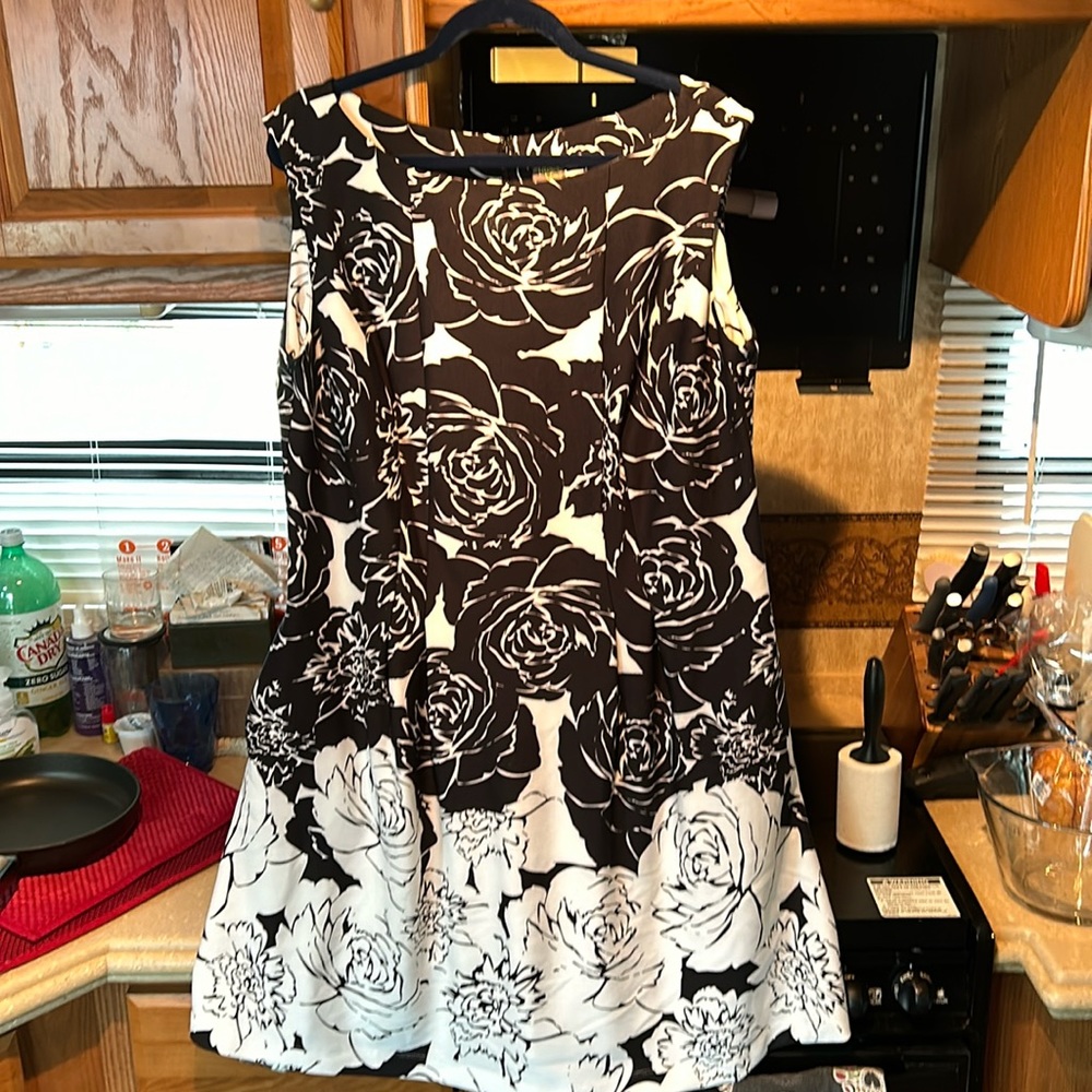 Taylor Woman 14W Dress